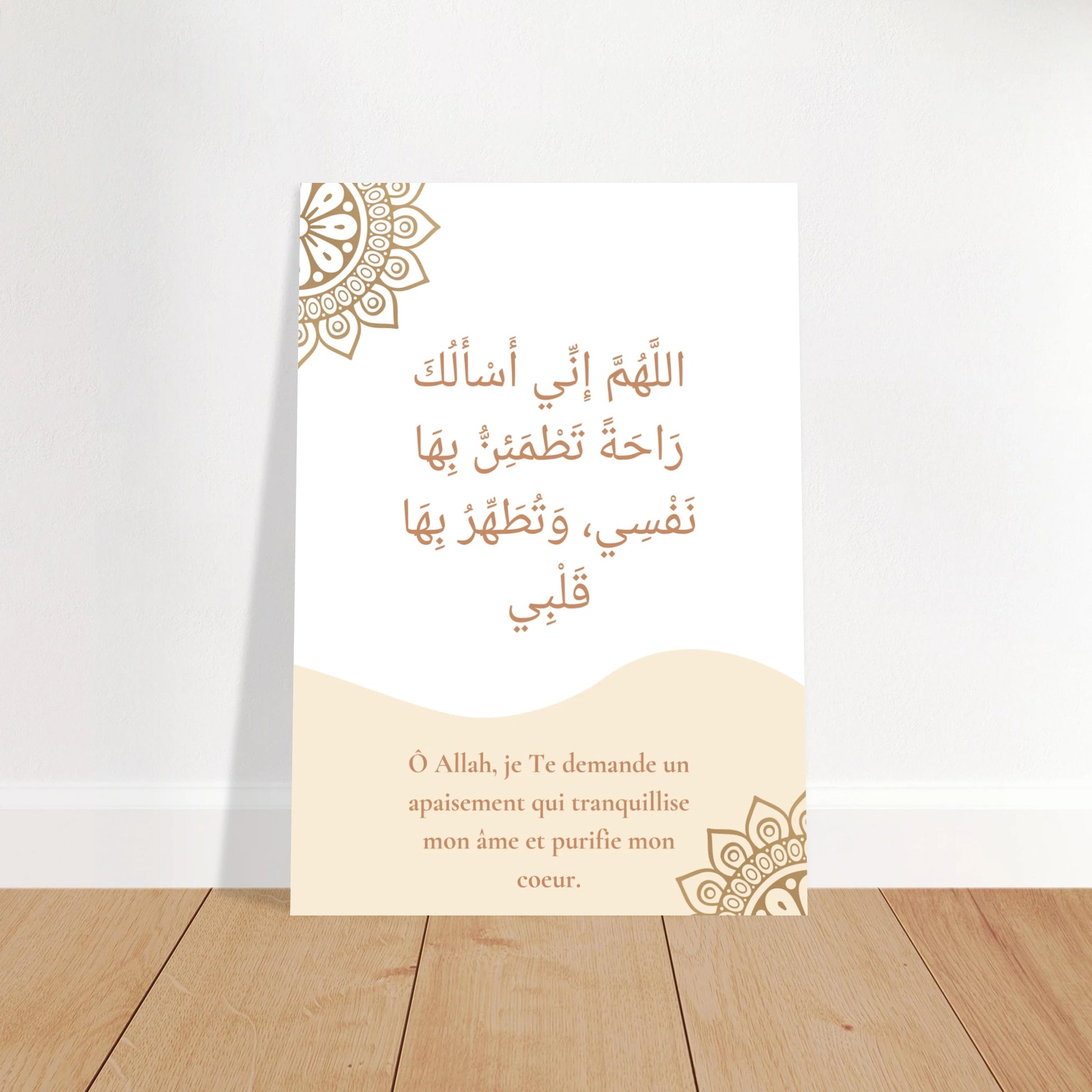 fa735664-398d-49b6-9a1f-02faee3fd481